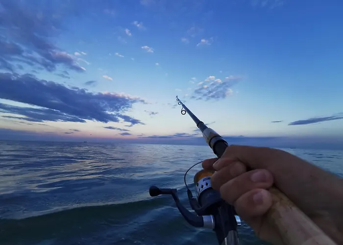 подвійний з терасою біля моря совіньон